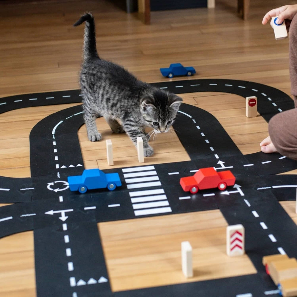 Katze spielt auf einer Spielstraße mit Autos, Züge und andere Fahrzeuge als Spielzeug auf Holzboden