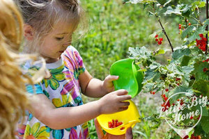 Bilibo Mini – 6 kleine Bilibo-Schalen - Tublu.de