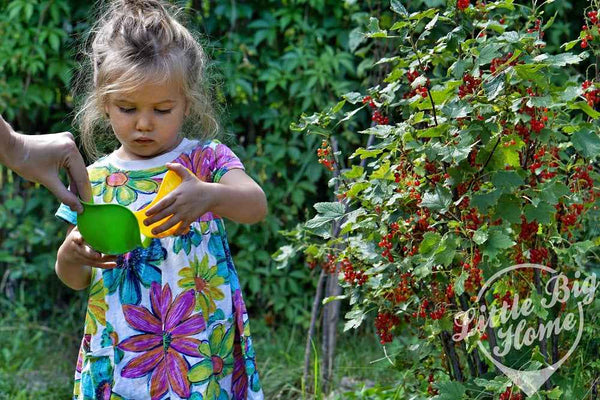 Bilibo Mini – 6 kleine Bilibo-Schalen - Tublu.de