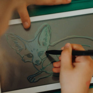 Nachfüllkarten – Kidydraw Mini – Tiere der Welt / Ozean und Piraten (60 Stück)