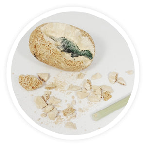 Dinosaurier-Ei - Tublu.de