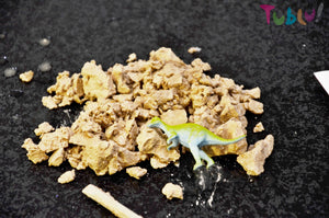 Dinosaurier-Ei - Tublu.de