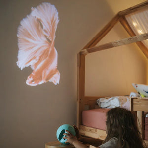 Drehbarer Projektor – Ocean