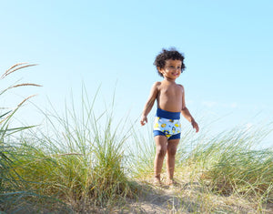 Schwimmwindel Happy Nappy DUO 24-36 Monate Insekten (XXL)