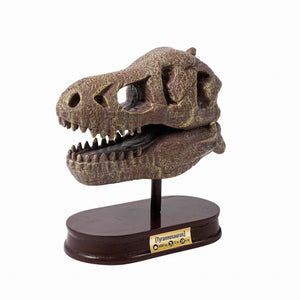 Dinosaurier-Schädelmuseum - Tyrannosaurus - Tublu.de