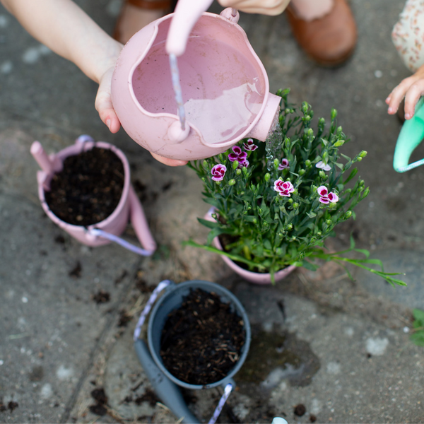 Mini-Silikoneimer mit Schaufel – Salbei - Tublu.de