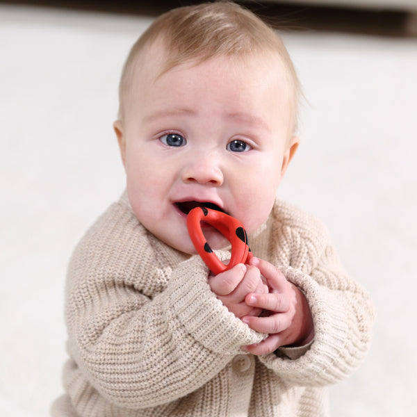 Trainingszahnbürste – Marienkäfer Dori 3–8 Monate - Tublu.de