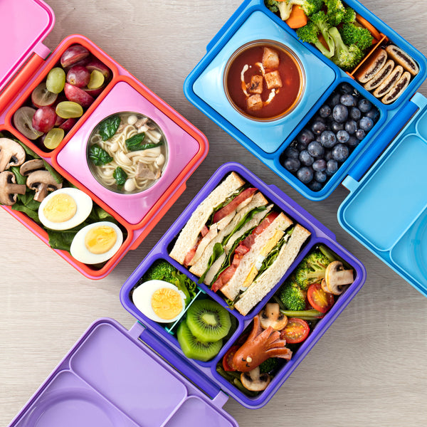 Bewegliche Trennwand für die OmieBox Lunchbox – Blue