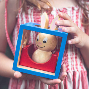 Gra logiczna Smart Games - Bunny Boo