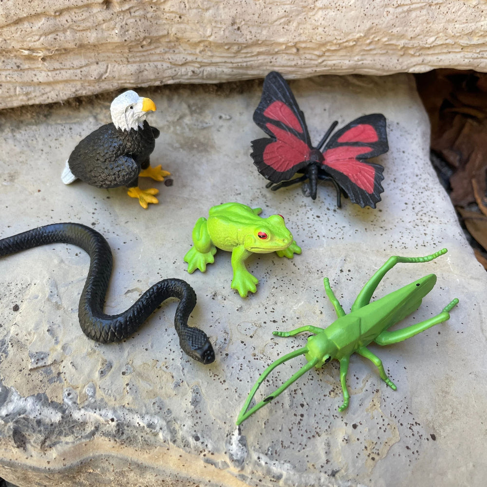 Figurenset in einer Tube TOOB – Waldtiere - Tublu.de