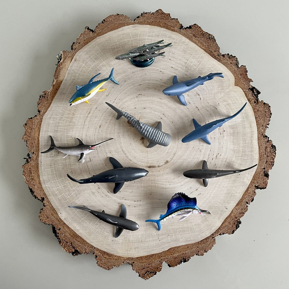 Figurenset in einer Tube TOOB – Große pelagische Fische - Tublu.de