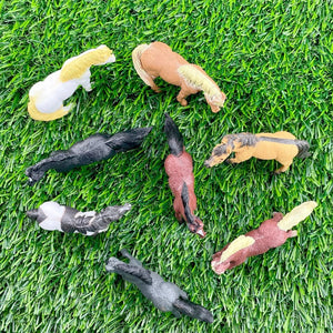 Figurenset in einer Tube TOOB - Ponys - Tublu.de