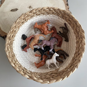 Figurenset in einer TOOB-Röhre – Pferde - Tublu.de