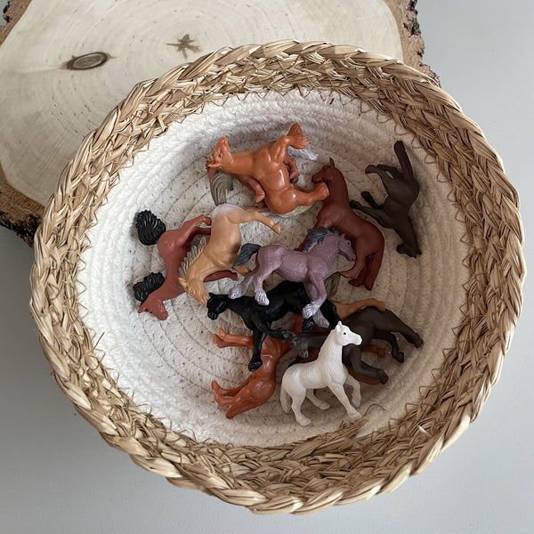 Figurenset in einer TOOB-Röhre – Pferde - Tublu.de