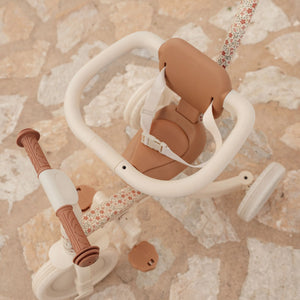 4-in-1-Dreirad mit Griff – Sunny Flower