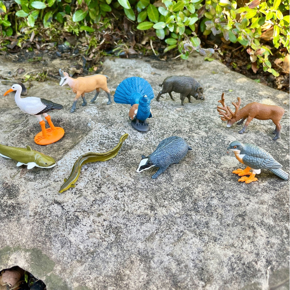 Figurenset in einer TOOB-Röhre – Tiere Europas - Tublu.de