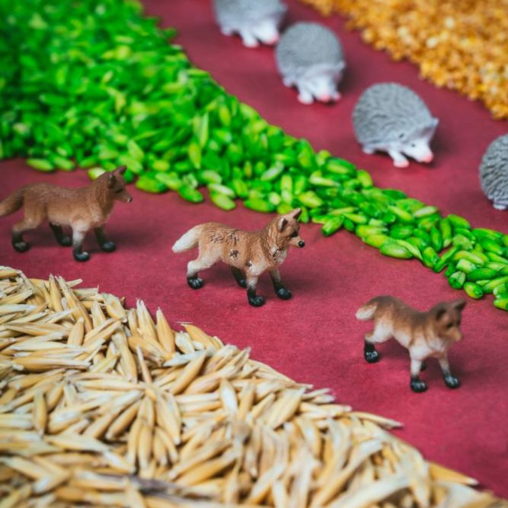 Beobachtungsflasche – Wald - Tublu.de