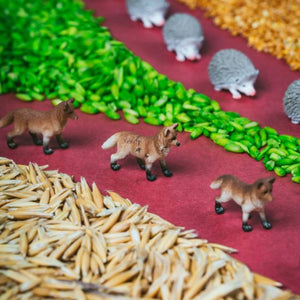 Beobachtungsflasche – Wald - Tublu.de