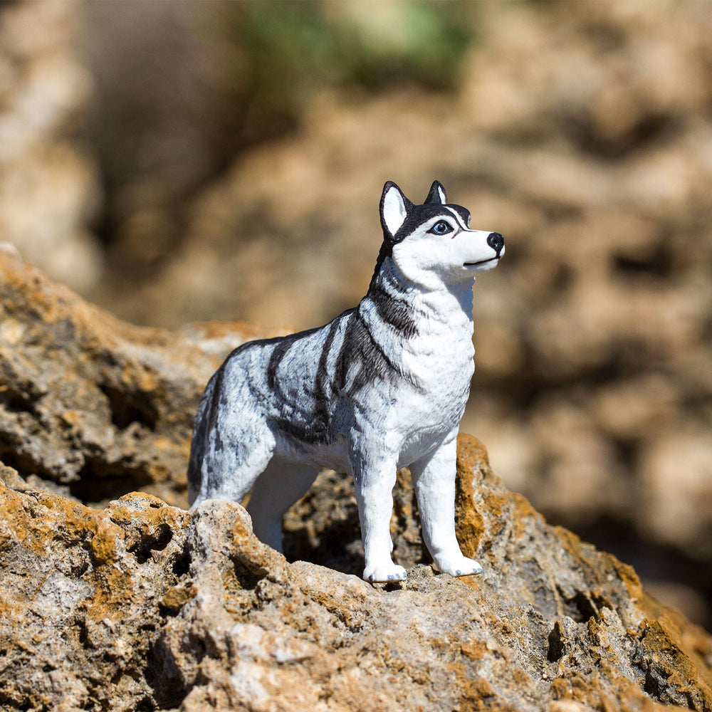 Figur – Siberian Husky - Tublu.de