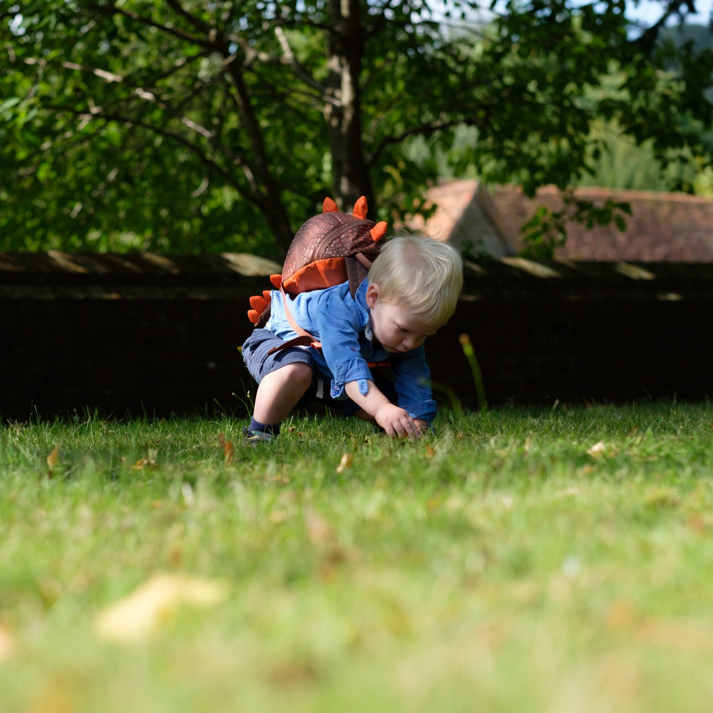 Rucksack Animal Pack Dinosaurier