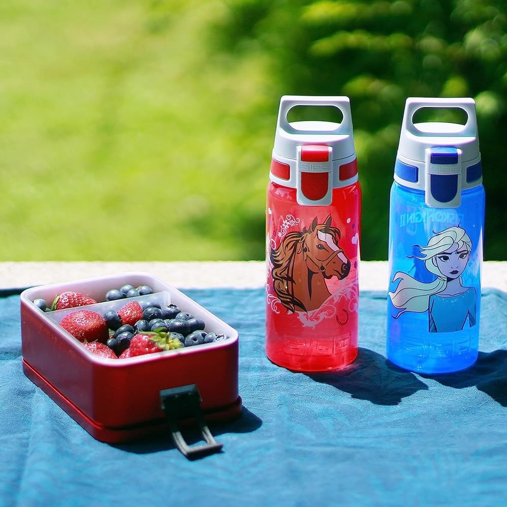 Flasche VIVA ONE0,5 l - Elsa II