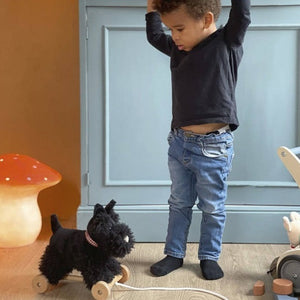 Plüschhund Walter zum Ziehen