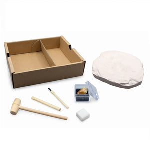 Kleiner Paläontologe - Stegosaurus - Tublu.de