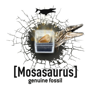 Kleiner Paläontologe - Brachiosaurus - Tublu.de