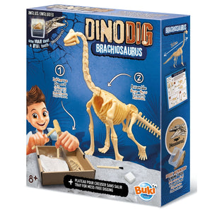 Kleiner Paläontologe - Brachiosaurus - Tublu.de