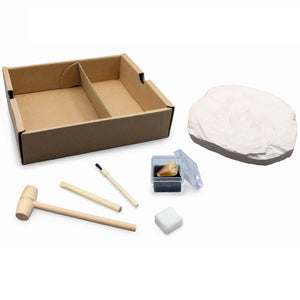 Kleiner Paläontologe – Tyrannosaurus - Tublu.de