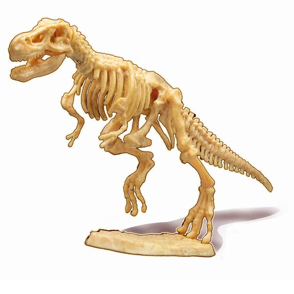 Kleiner Paläontologe – Tyrannosaurus - Tublu.de