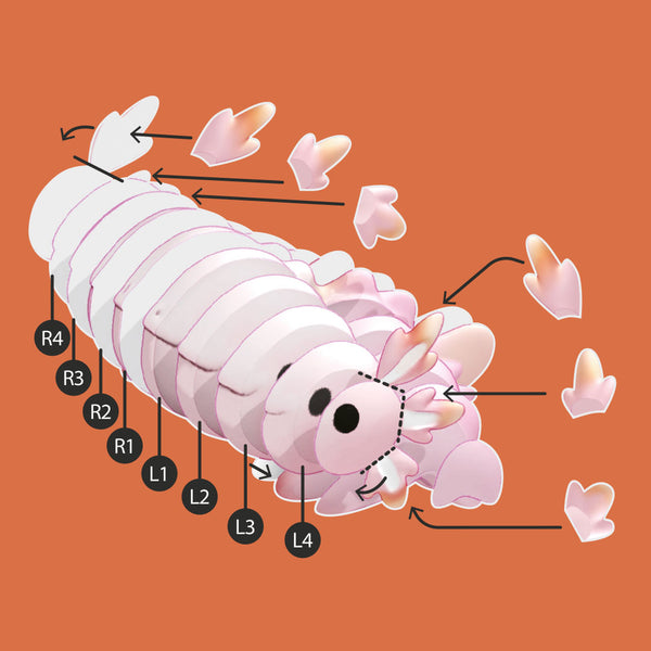 3D-Puzzle Drachen – Türkis - Tublu.de