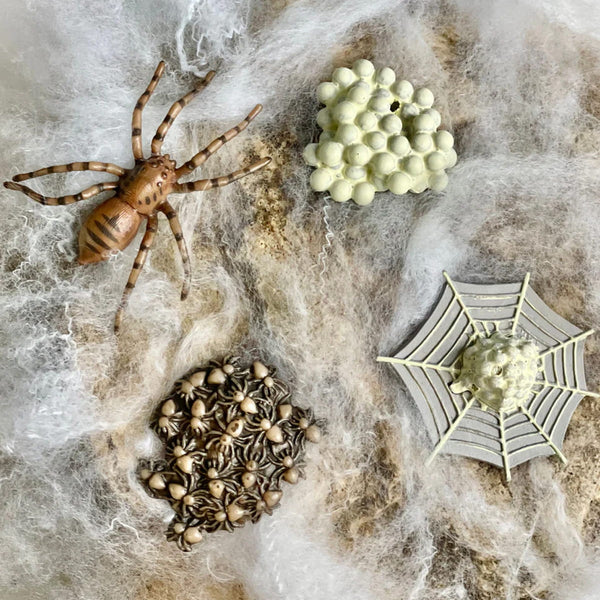 Figurenset Safariology - Der Lebenszyklus einer Spinne - Tublu.de