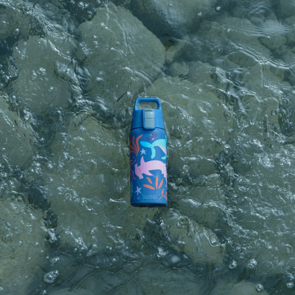 Thermosflasche SHIELD ONE 0,5 l - Blue Word