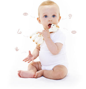 Beißring Sophie die Giraffe  – kleines Geburtstags-Set - Tublu.de