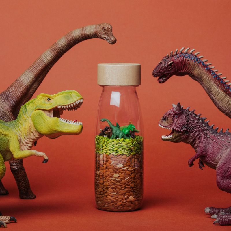 Beobachtungsflasche – Jurassic Dinosaurier - Tublu.de