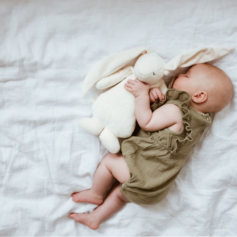 Rauschendes Kaninchen mit Lampe Basic 2.0 – Cream