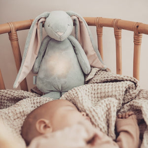 Summendes Kaninchen mit Lampe Basic 2.0 – Cloud