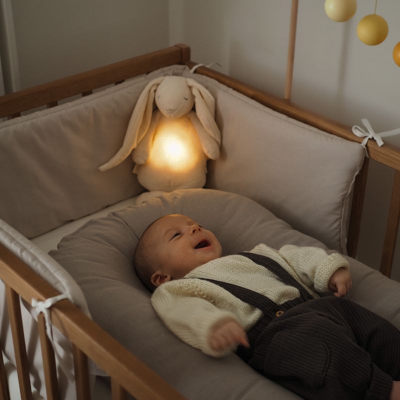 Summendes Kaninchen mit Lampe Basic 2.0 – Powder