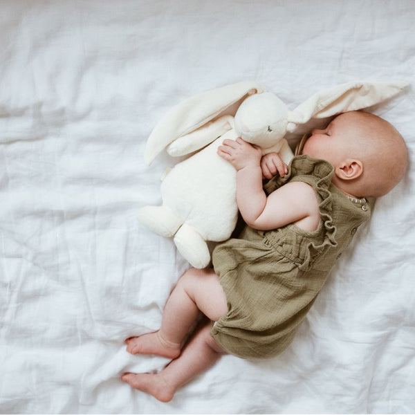 Summendes Kaninchen mit Lampe Basic 2.0 – Powder