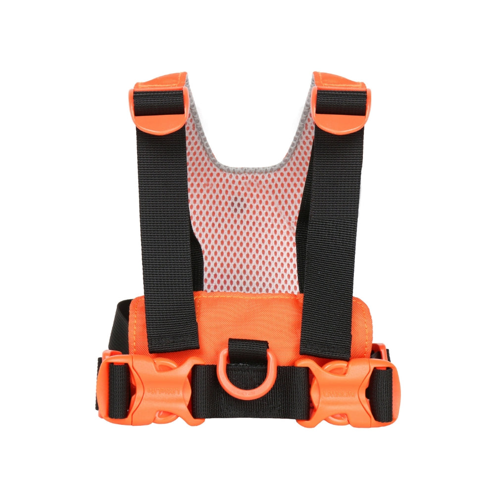 Sicherheitsgurte – Tiger