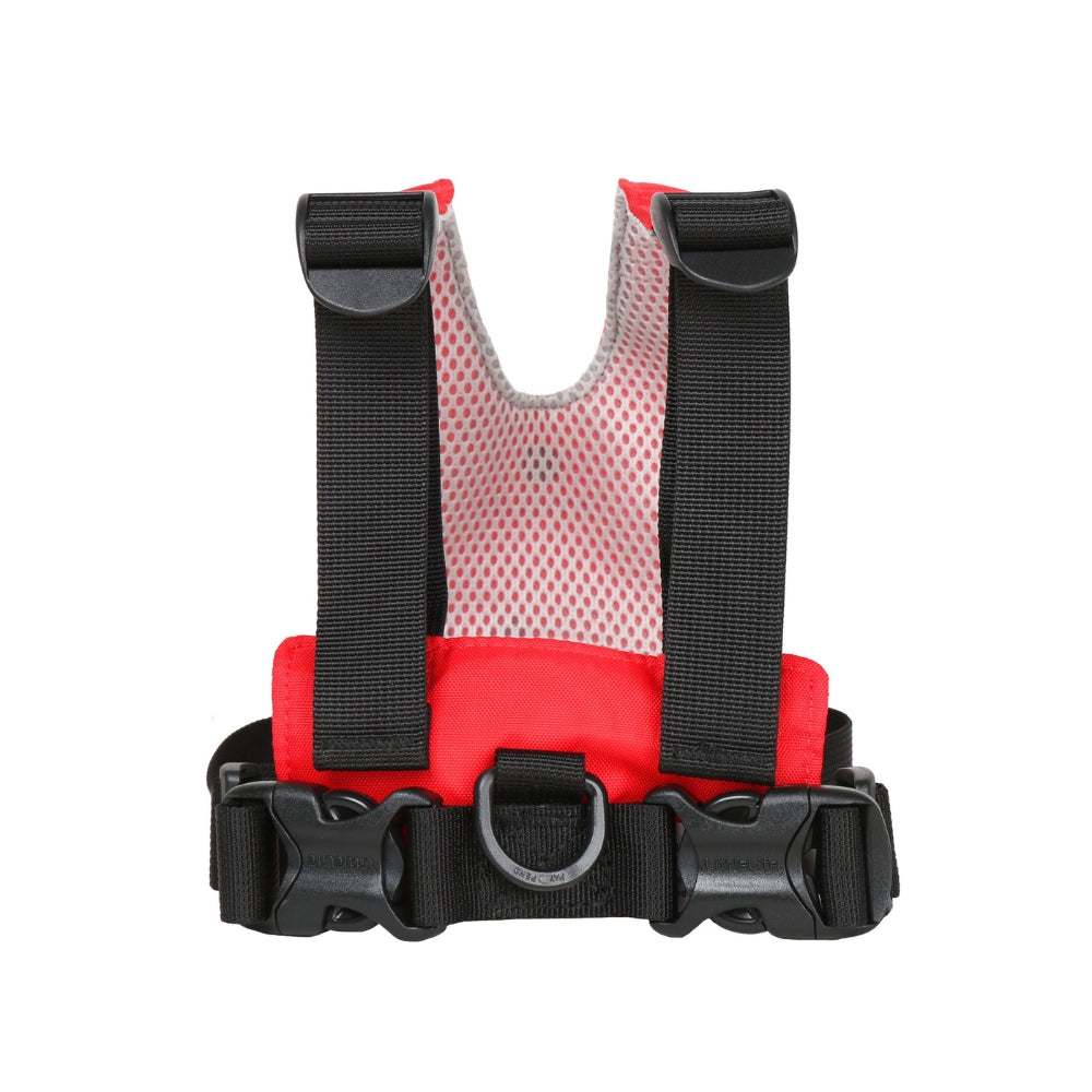 Sicherheitsgurte – Marienkäfer