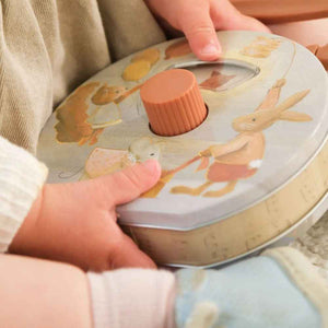 Pozytywka - radio muzyczne Egmont Toys - Przyjaciele