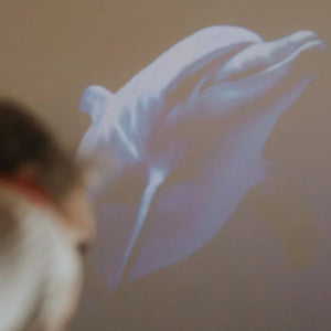 Drehbarer Projektor – Ocean