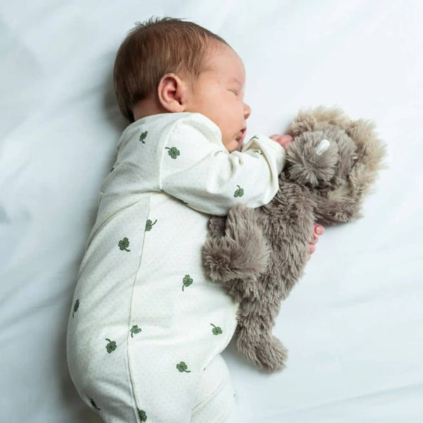 Gewichtetes Kuscheltier – Mini Dino 130 g