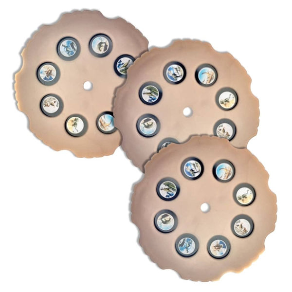Projektor mit austauschbaren Discs – Dinosaurier T-Rex