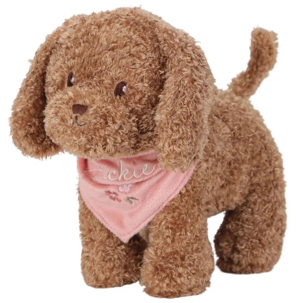 Der Hund Jackie in der Tasche