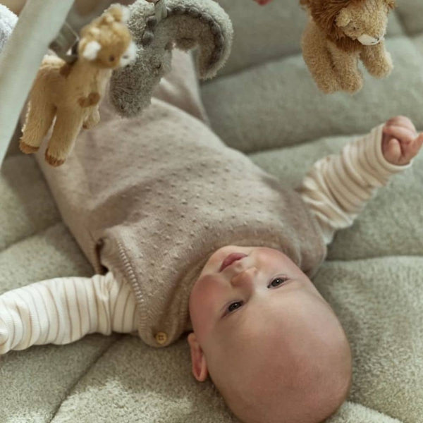 Entwicklungsmatte mit Bogen – Safari Friends