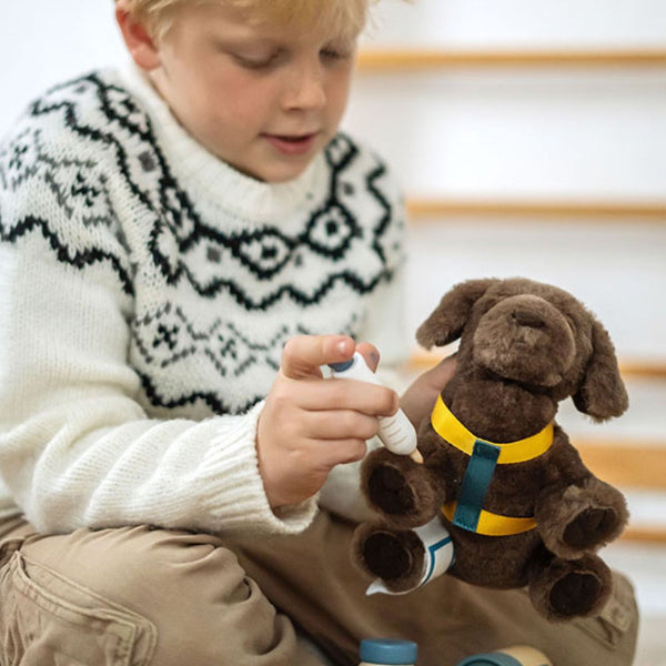 Labrador-Hund mit Tasche und Pflege-Set