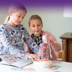 Kinder lernen mit dem Anatomiemodell von Science Can